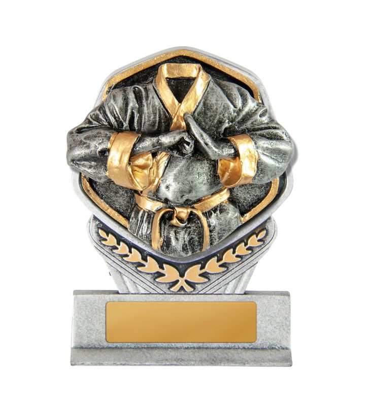 Martial Arts Trophy 240mm