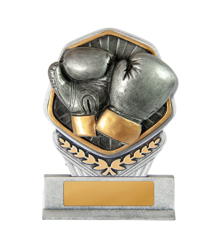 Boxing Trophy 105mm