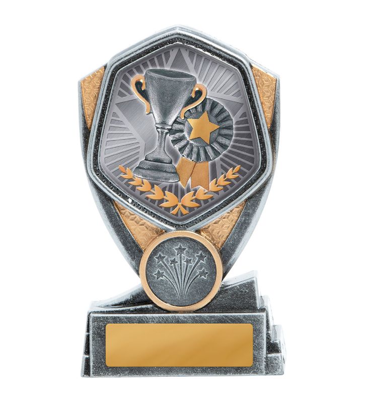 Achievement Schools Trophy 175mm
