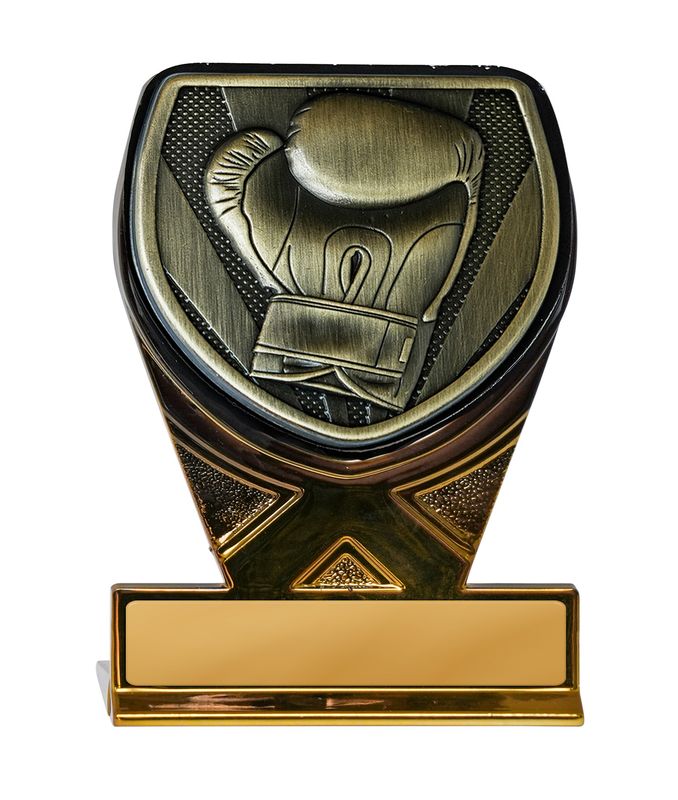 Boxing Trophy 225mm