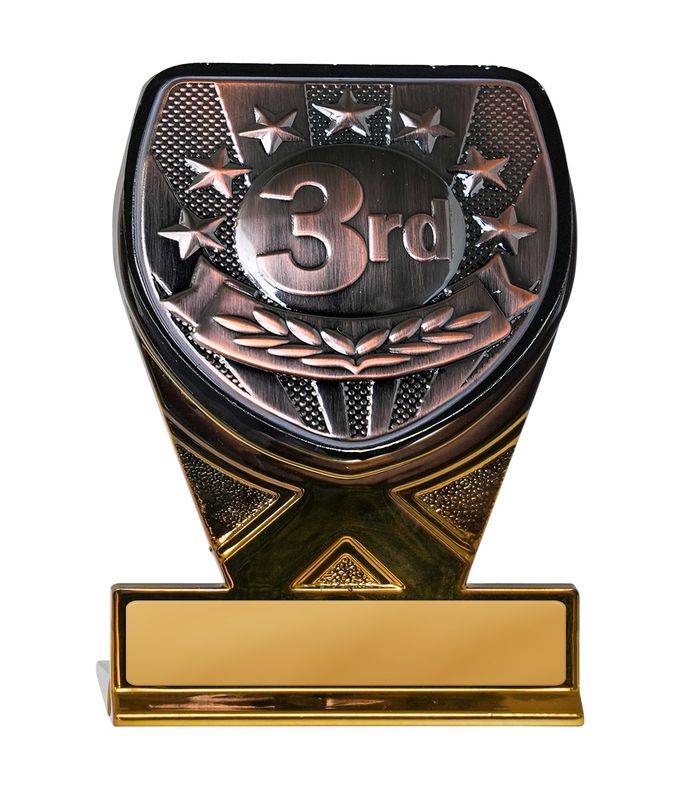 1st Place Achievement Trophy 175mm