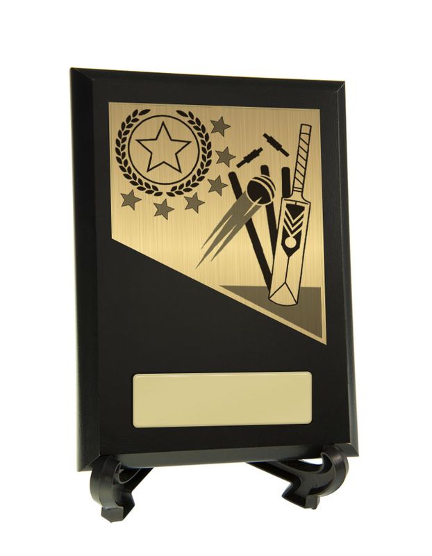 Cricket Theme on Plaque 200mm