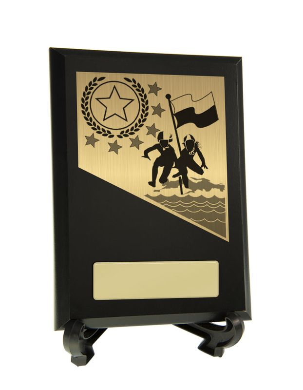 Plaque with Lifesaving Trim 200mm