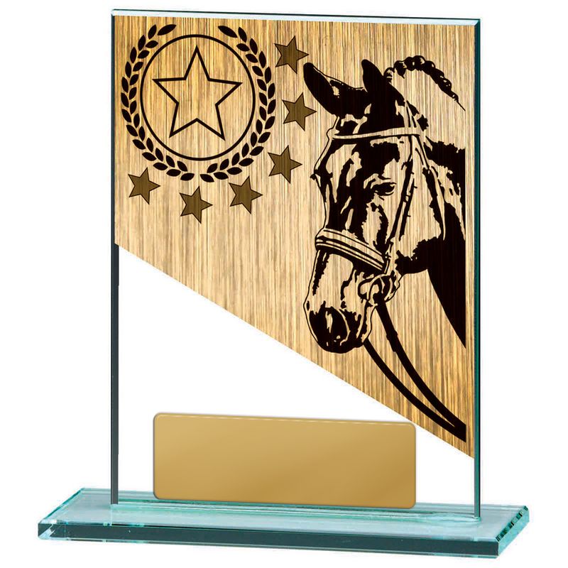 Equestrian Glass Trophy 170mm
