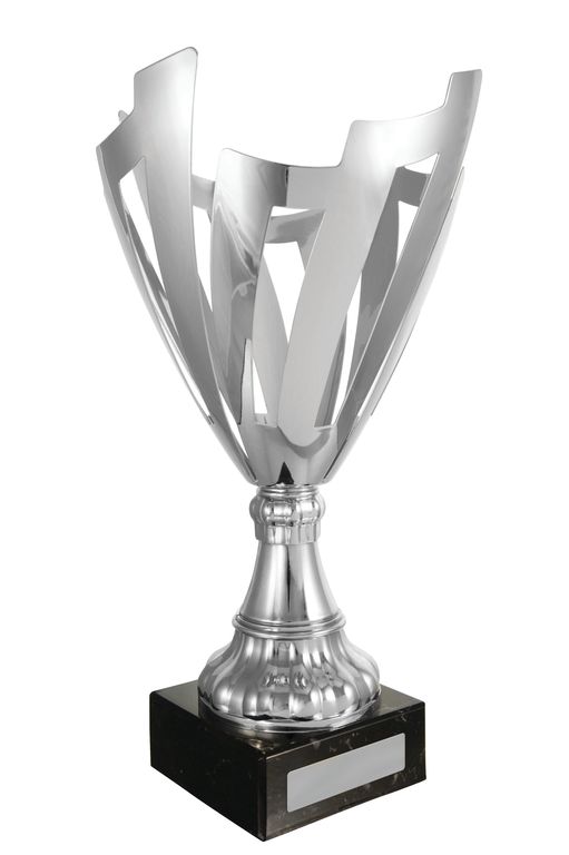 Silver Nest Cup Series