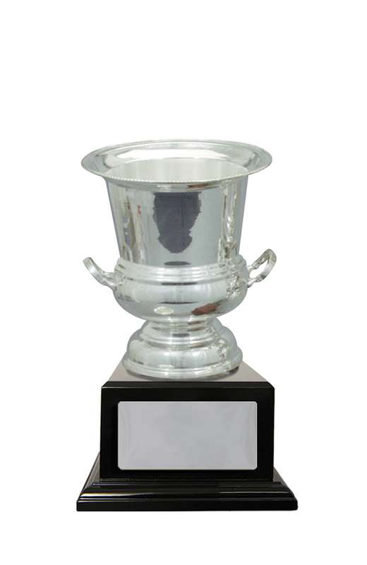 Silver Plated Cup