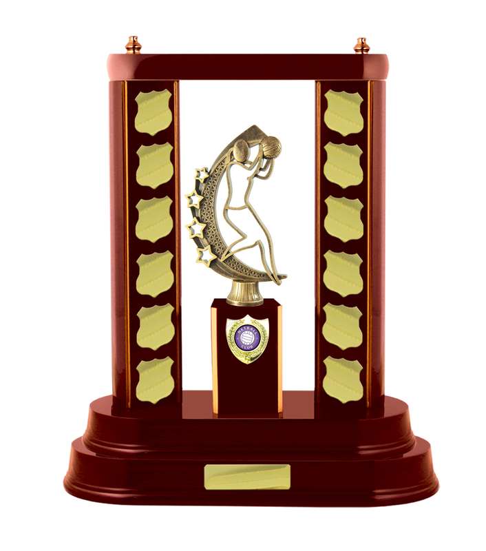 2 Post Netball Perpetual with 25mm Centre