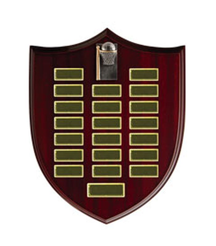 Netball Perpetual Trophy 380mm